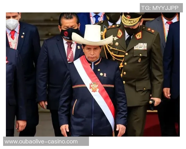 赖斯在国际政治舞台上的崛起与影响力分析